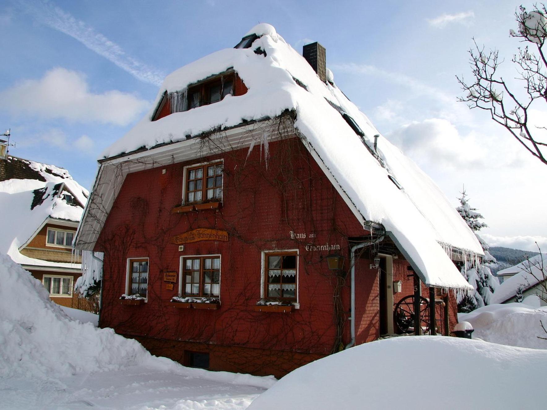 Haus Am Tannenhain ティティゼー・ノイシュタット エクステリア 写真